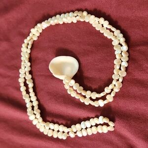 Long Shell Necklace